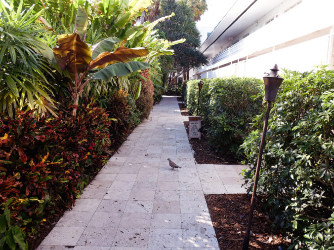 Standard Hotel Walkway