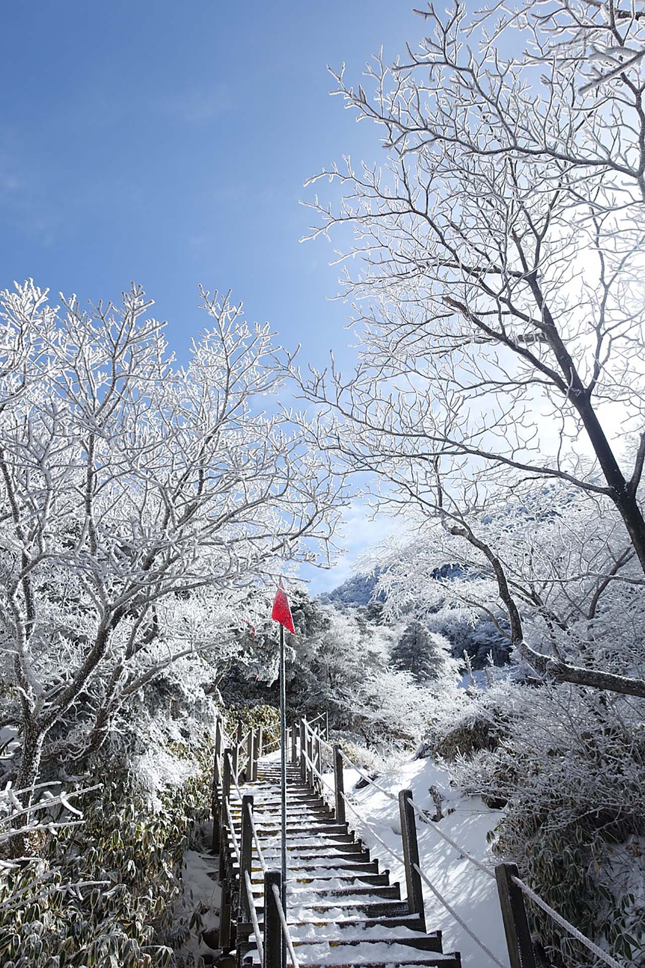 places to visit in jeju winter