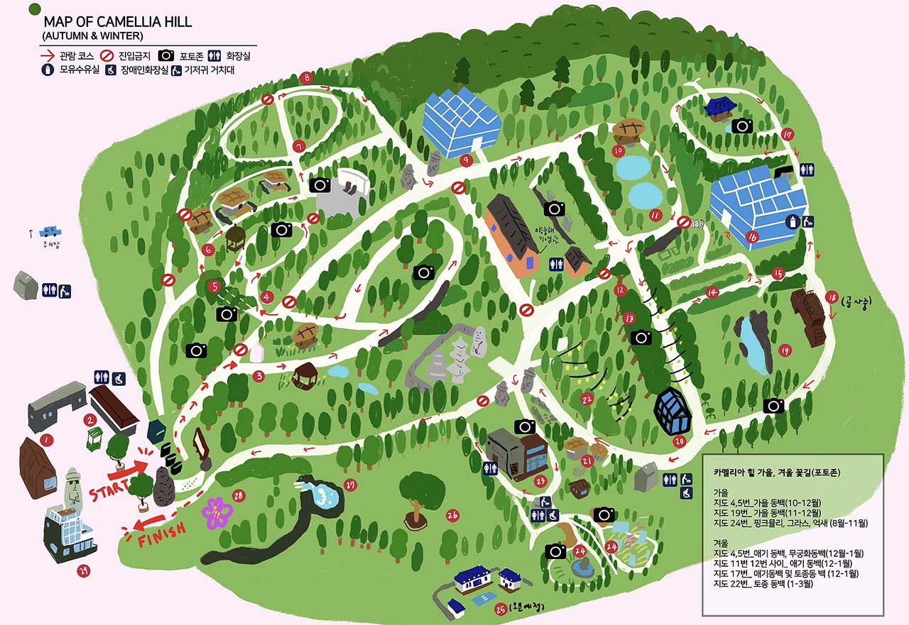 jeju camellia hill map
